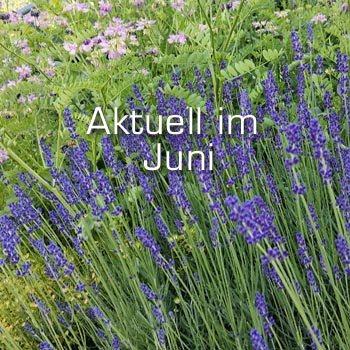 Gloede Gartenmagazin